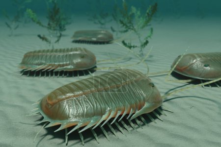 Foto de Una ilustración en 3D de los Paradójidos, un género de trilobites extintos de grandes a muy grandes encontrados en todo el mundo durante el período Cámbrico Medio. - Imagen libre de derechos