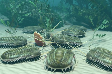 Illustration 3D d'un groupe de paradoxes trilobites éteints qui fouillent une carcasse il y a 500 millions d'années.