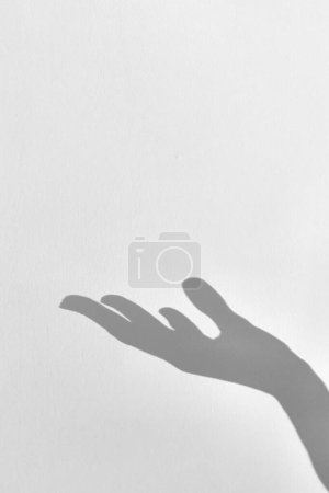 Photo for Shadow silhouette of hand palm up over, holding imaginary object, copy space, vertical frame, noise - Royalty Free Image