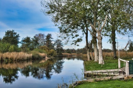 Téléchargez les photos : Paysage dans le parc national Weerribben-Wieden aux Pays-Bas, la plus grande tourbière du nord-ouest de l'Europe, composée de lacs, étangs, canaux, tourbières, roselières et forêts. - en image libre de droit