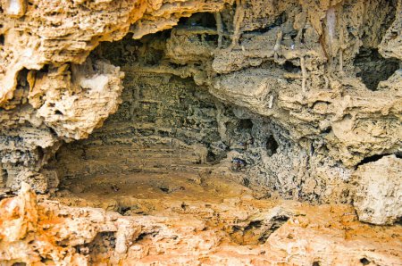 Téléchargez les photos : Modèle d'érosion en forme de grotte dans le grès. Éviter Bay, péninsule d'Eyre, Australie-Méridionale, parc national de Coffin Bay - en image libre de droit