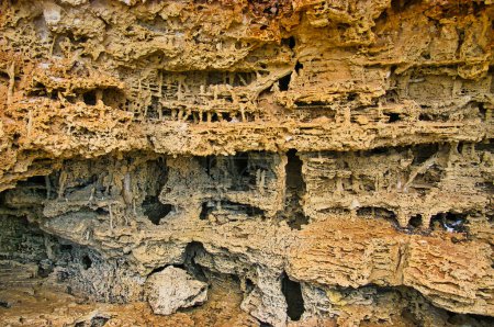 Foto de Patrones de erosión en piedra arenisca, como una misteriosa ciudad de fantasía en una película de ciencia ficción. Evite Bay, Península de Eyre, Australia Meridional, Parque Nacional de Coffin Bay - Imagen libre de derechos