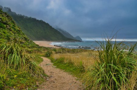 Foto de The Heaphy Track, uno de los Great Walks de Nueva Zelanda, en Scotts Beach, en un día nublado. Parque Nacional Kahurangi, Karamea, Costa Oeste, Isla Sur. - Imagen libre de derechos
