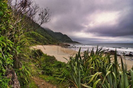Foto de La costa a lo largo de la pista Heaphy, cerca de Crayfish Point, bajo un cielo amenazante. Parque Nacional Kahurangi, Costa Oeste, Isla Sur, Nueva Zelanda. - Imagen libre de derechos