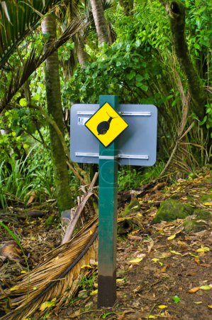 Foto de Señal de advertencia a lo largo de la vía Heaphy, Parque Nacional de Kahurangi, Nueva Zelanda: no molestar a los caracoles gigantes en peligro de extinción, Powelliphanta spp.. - Imagen libre de derechos