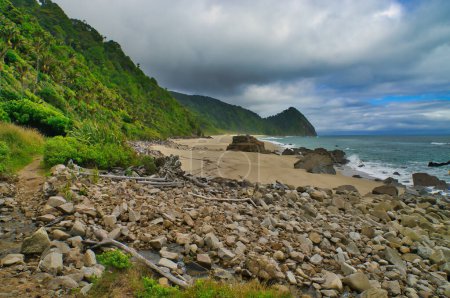 Foto de Rainforest se encuentra con el mar en Scotts Beach a lo largo de Heaphy Track, uno de los Great Walks de Nueva Zelanda. Parque Nacional Kahurangi, Karamea, Costa Oeste, Isla Sur. - Imagen libre de derechos