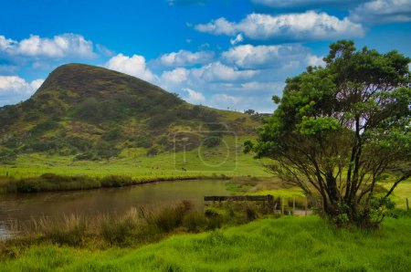 Téléchargez les photos : Paysage rural avec prairies verdoyantes sur une colline au ruisseau Kapowairua, à Spirits Bay (Piwhane), une baie isolée à l'extrême nord de Northland, Île du Nord, Nouvelle-Zélande - en image libre de droit