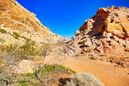 Téléchargez les photos : Paysage désertique avec des rochers jaunes le long du White Domes Trail, Valley of Fire State Park, Nevada - en image libre de droit