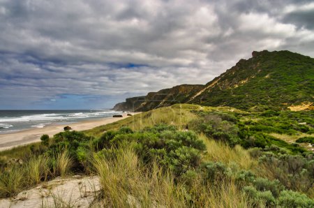 Téléchargez les photos : Dunes de sable avec herbe de marram, falaises et plage sur la côte sud de l'Australie. Salmon Beach, Windy Harbour, Australie occidentale. - en image libre de droit