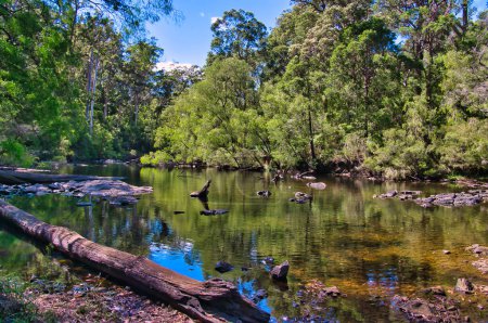 Téléchargez les photos : La rivière Warren traverse une forêt préservée dans le parc national Warren, en Australie-Occidentale - en image libre de droit