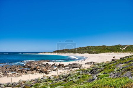 Téléchargez les photos : Les vacanciers à la plage idyllique de Prevelly, dans la région de Margaret River dans le sud-ouest de l'Australie occidentale - en image libre de droit