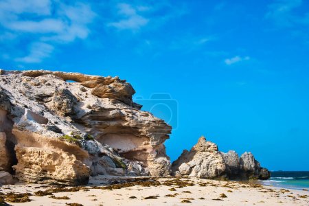 Téléchargez les photos : Formation rocheuse de grès et de corail et plage sablonneuse avec algues à Hamelin Bay dans le parc national Leeuwin-Naturaliste en Australie occidentale - en image libre de droit
