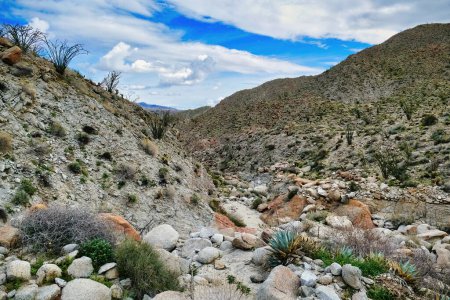 Téléchargez les photos : Une vallée rocheuse dans les montagnes Tierra Blanca près de Mountain Palm Springs, dans la partie sud d'Anza-Borrego Desert Park, Californie, États-Unis. - en image libre de droit