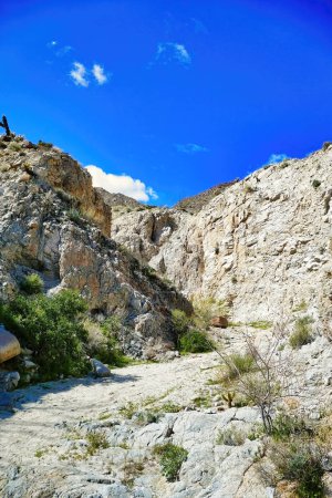 Photo for A rocky canyon in the Tierra Blanca Mountains near Mountain Palm Springs, in the southern part of Anza-Borrego Desert Park, California, USA. - Royalty Free Image