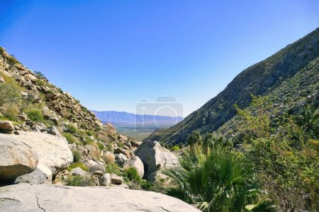 Téléchargez les photos : Paysage désertique le long du sentier Hellhole Canyon, Borrego Springs, Anza-Borrego Desert State Park, Californie, États-Unis - en image libre de droit