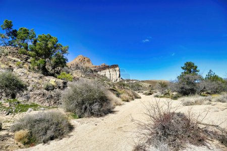 Téléchargez les photos : Lit de rivière sec et sablonneux avec roche volcanique et végétation clairsemée dans le désert le long du sentier Barber Peak dans les montagnes de la Providence, réserve nationale de Mojave, Californie, États-Unis - en image libre de droit