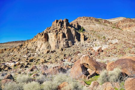 Téléchargez les photos : Paysage désertique avec rochers nus le long du sentier Barber Peak dans les montagnes de la Providence, réserve nationale de Mojave, Californie, États-Unis - en image libre de droit