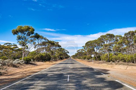 Téléchargez les photos : Route droite morte dans l'outback australien, entre Esperance et Norseman, Australie occidentale - en image libre de droit
