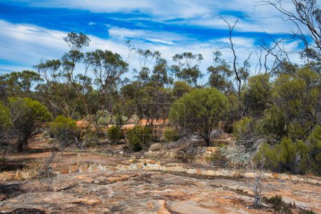 Téléchargez les photos : Water catchment area in the outback at the abandoned goldrush town of Bromus near Norseman, Western Australia. L'eau de pluie coulant des roches de granit a été conduite à un réservoir par un système de murs de pierre - en image libre de droit