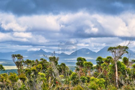Picos del lado oriental del Parque Nacional Stirling Range, Australia Occidental. Cielo nublado con manchas de luz solar, bosque de eucaliptos en primer plano