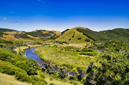 Charakteristische neuseeländische Landschaft mit bewaldeten Hügeln, einem kleinen Fluss (Green Hill Creek), Wiesen und Schafen. Puponga Farm Park, im abgelegenen nördlichsten Teil der Südinsel.