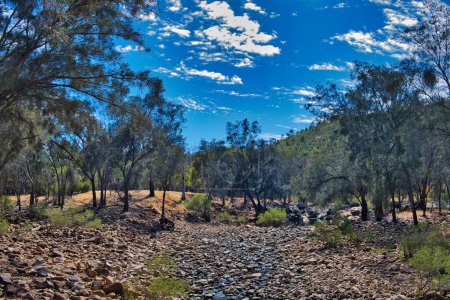 Téléchargez les photos : Rocheuse, lit presque sec de la rivière Avon, dans les collines et la forêt du parc national de Walyunga, Australie-Occidentale. - en image libre de droit