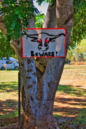Téléchargez les photos : Attention aux taureaux, panneau d'avertissement peint sur un arbre sur un terrain de camping australien. - en image libre de droit