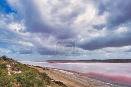 Téléchargez les photos : Le rivage et la plage du lac rose extrêmement salé (lagune Hutt) près de Port Gregory, Kalbarri, côte de corail, Australie occidentale par une journée nuageuse d'été - en image libre de droit
