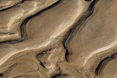 Téléchargez les photos : Gros plan de courants irréguliers sur une plage de sable humide. Contexte naturel abstrait - en image libre de droit