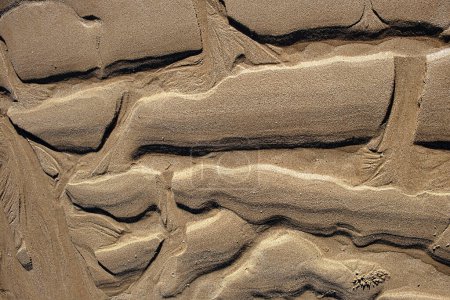 Téléchargez les photos : Schémas d'écoulement naturel dans le sable humide. Nature abstraite fond. - en image libre de droit
