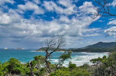 Photo for View of the picturesque bay of Squeaky Beach, Wilsons Promontory National Park, Victoria, Australia, with small islands off the cape, forested hills and a blue, cloudy sky - Royalty Free Image