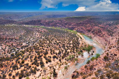 Téléchargez les photos : Vue aérienne du canyon de la rivière Murchison et du vaste paysage désertique du parc national de Kalbarri, en Australie occidentale - en image libre de droit