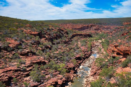 Téléchargez les photos : Vue du canyon de grès rouge de la rivière Murchison depuis le belvédère Z Bend, parc national de Kalbarri, Australie-Occidentale - en image libre de droit