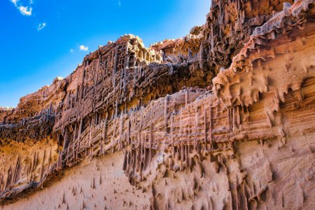 Eng beieinander liegende Skolithos-Fossilien aus Tumblagooda Sandstone, Kalbarri, Westaustralien. Diese vertikalen zylindrischen Höhlen wurden von Organismen in einer flachen Meeresumgebung produziert.