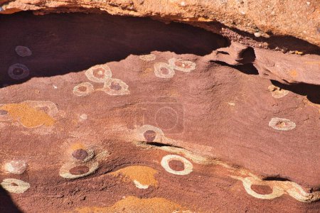 Circles in Tumblagooda sandstone, made by bacterial colonies living in river sand deposited 400 million years ago. Kalbarri, Western Australia