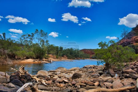 Piscine tranquille dans la gorge de la rivière Murchison, avec des arbres verts et des rochers rouges, au bout de la promenade Ross Graham River Walk, parc national Kalbarri, Australie occidentale