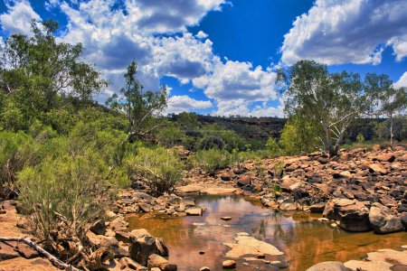 Téléchargez les photos : Tranquille piscine rocheuse dans la gorge boisée de la rivière Murchison, au bout de la promenade Ross Graham River Walk, parc national Kalbarri, Australie occidentale - en image libre de droit