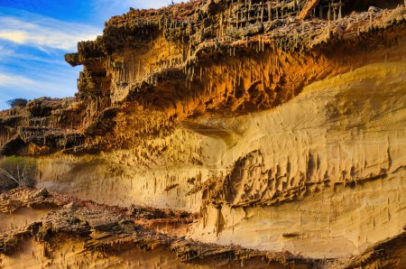 Gebänderter Tumblagooda Sandstein mit eng aneinander gereihten Skolithos-Spurenfossilien, Kalbarri, Westaustralien. Diese zylindrischen Höhlen wurden von wurmartigen Organismen in einer flachen Meeresumgebung produziert..