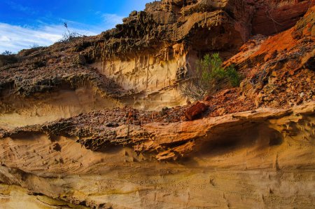 Felswand von Tumblagooda Sandstein mit Skolithos-Spurenfossilien, Kalbarri, Westaustralien. Diese Rohrsteinhöhlen wurden von wurmartigen Organismen in einer flachen Meeresumgebung produziert.