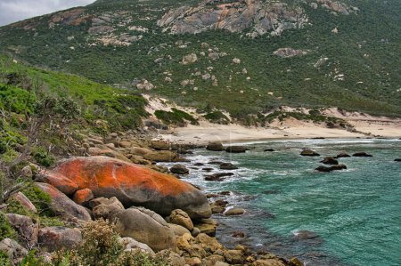 Wild coast with a deserted beach at the foot of a high, rocky hill, and granite boulders with red lichen. Oberon Bay, Wilsons Promontory, Victoria, Australia