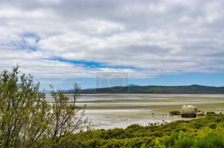 Mudflats with tiny mangroves at the coast of Millers Landing, Wilsons Promontory National Park, Victoria, Australia. Hazy clouds, high hills in the background