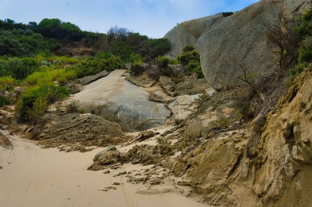 Huge granite boulders, sandy beach and flowering coastal vegetation at Oberon Bay, Wilsons Promontory, Victoria, Australia
