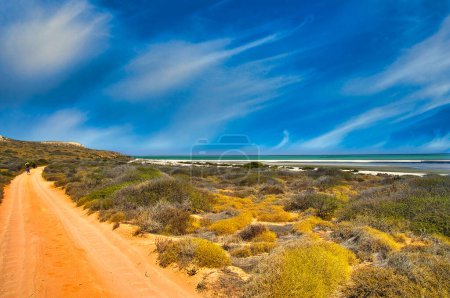 Dirt road along the coast of Shark Bay, Western Australia. Low coastal vegetation, person walking in the distance