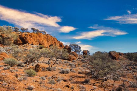 Formaciones rocosas de laterita roja y vegetación resistente a la sequía en el interior australiano, en las proximidades del Monte Magnet, Australia Occidental.