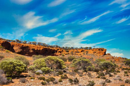 Desert vegetation with salt bush and mulga at the foot of red rocks, near Mount Magnet, mid-west of Western Australia.