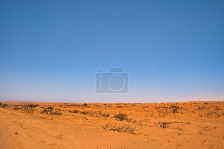Foto de Paisaje árido de polvo, tierra roja y arbustos muertos en el interior de Australia Occidental, entre Exmouth y Coral Bay. - Imagen libre de derechos