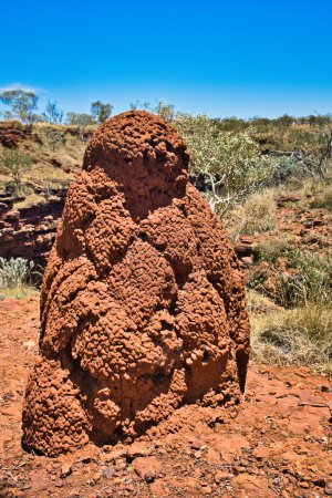 Large termite mound of red earth in the Western Australian outback. Karijini National Park, Pilbara