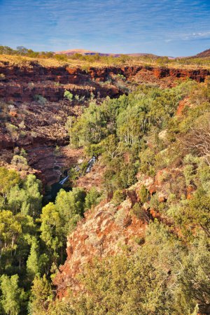 Descent into the forested Dales Gorge in the outback of Karijini National Park, Western Australia. 