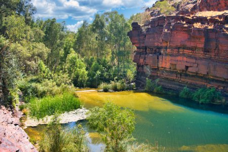 Der grüne Pool, flankiert von roten, eisenreichen Felsen und grünen Eukalyptusbäumen, am Fuße der Fortescue-Wasserfälle in der Dales Gorge, Karijini National Park, Westaustralien. 