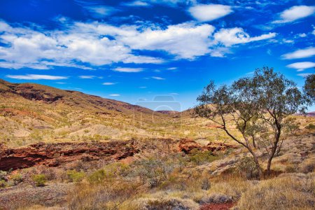 Hügelige Savannenlandschaft mit roten Felsen, welken Gräsern und kleinen Bäumen im östlichen Teil der Pilbara, Westaustralien